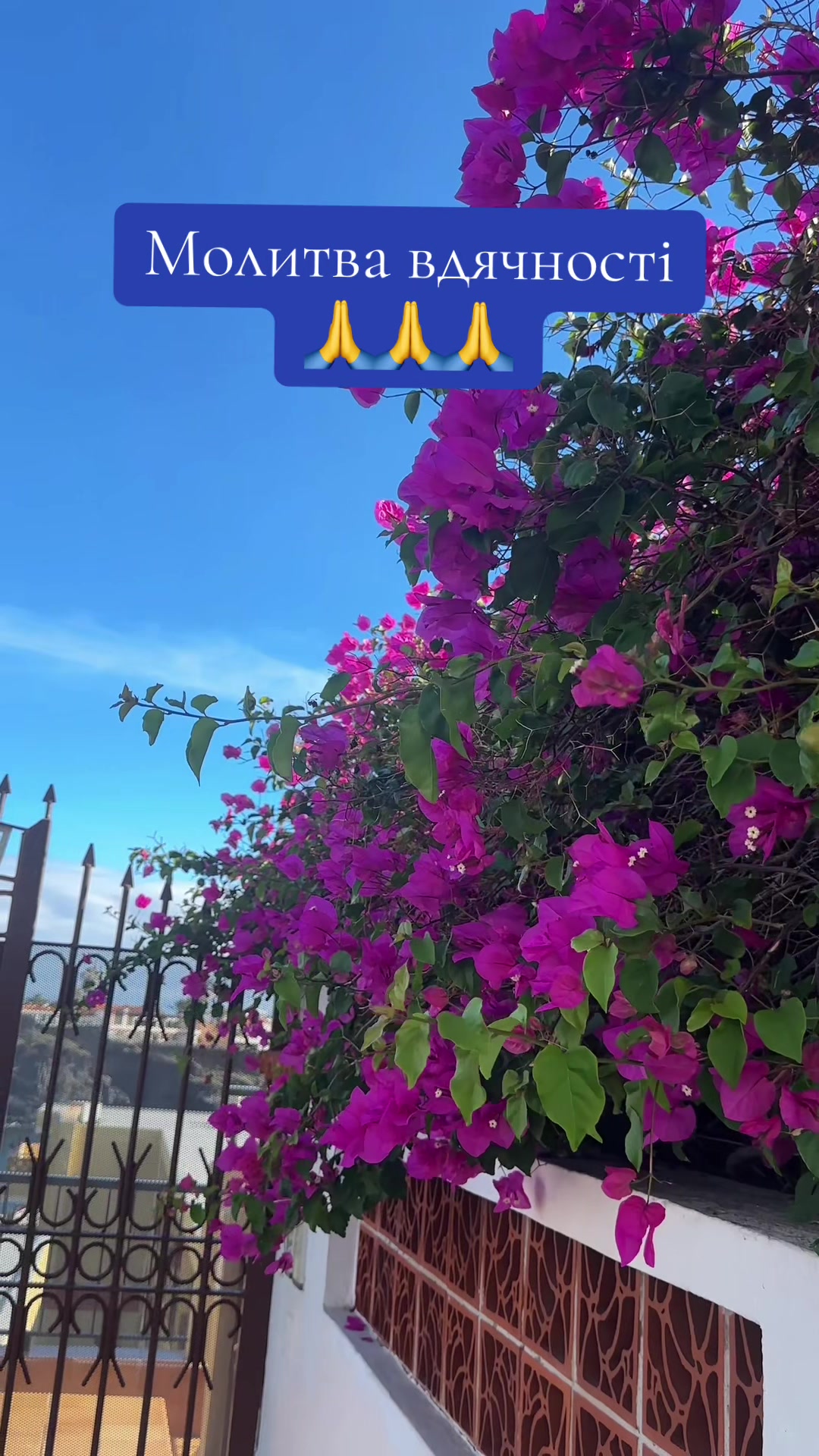 @Lara