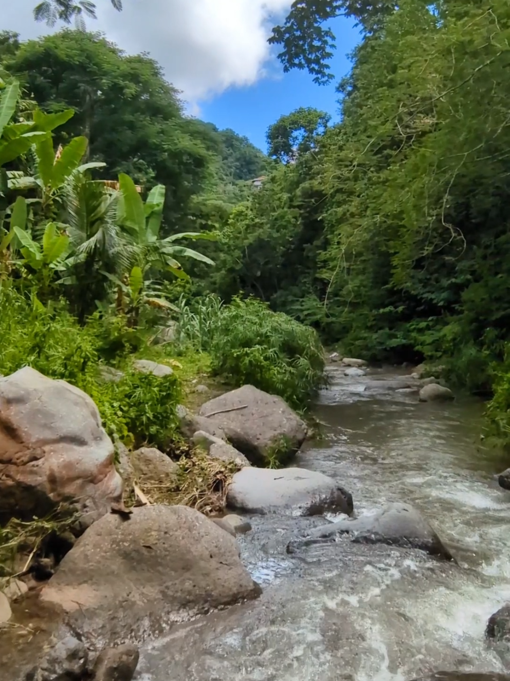 @Jamaica Untouched