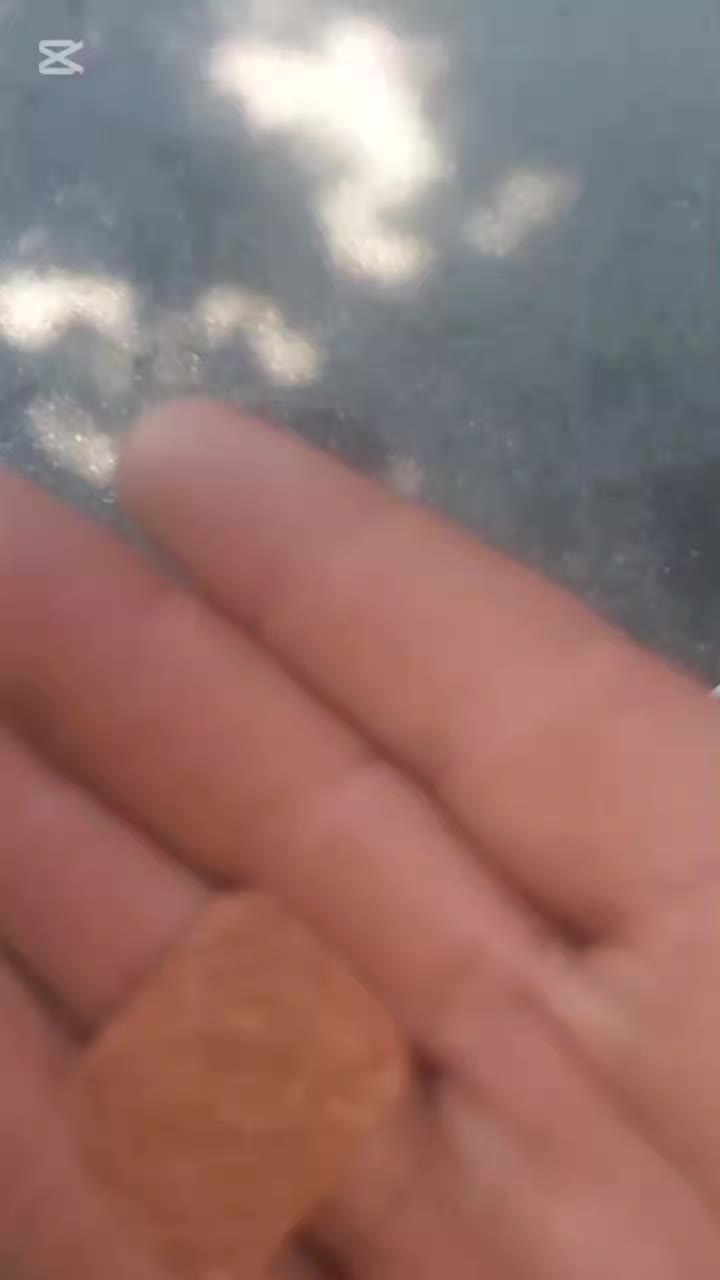 @Blanosii nordului