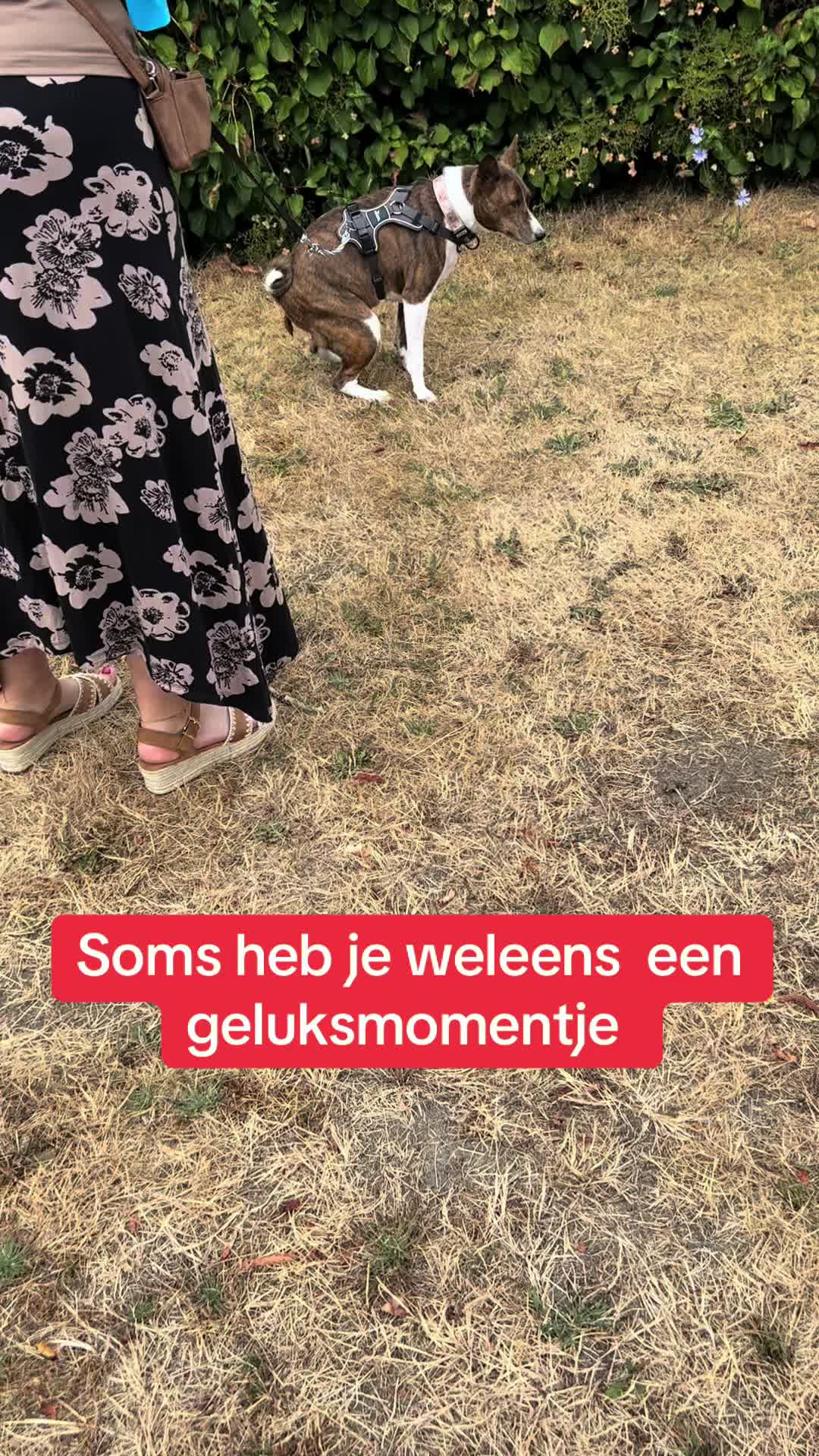 @Dion Dietvorst
