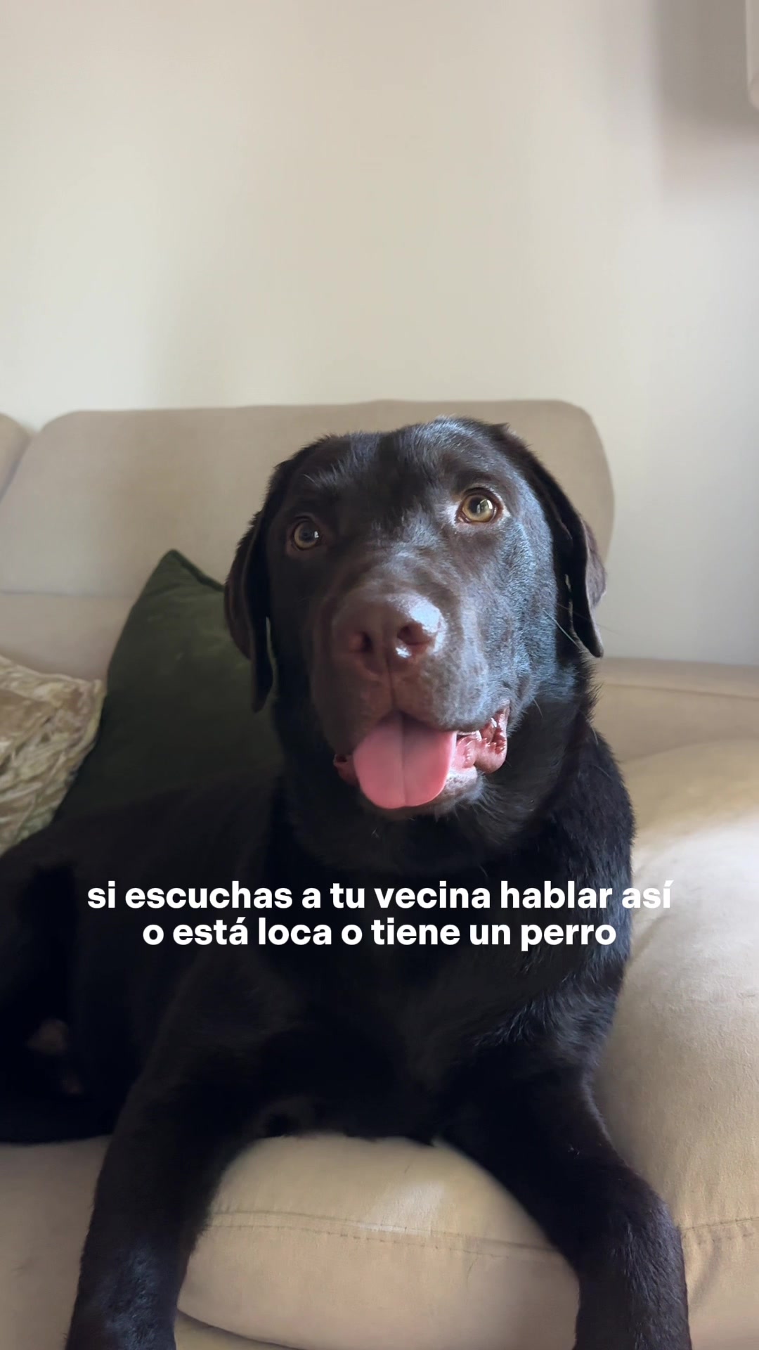 @Lorena Garam