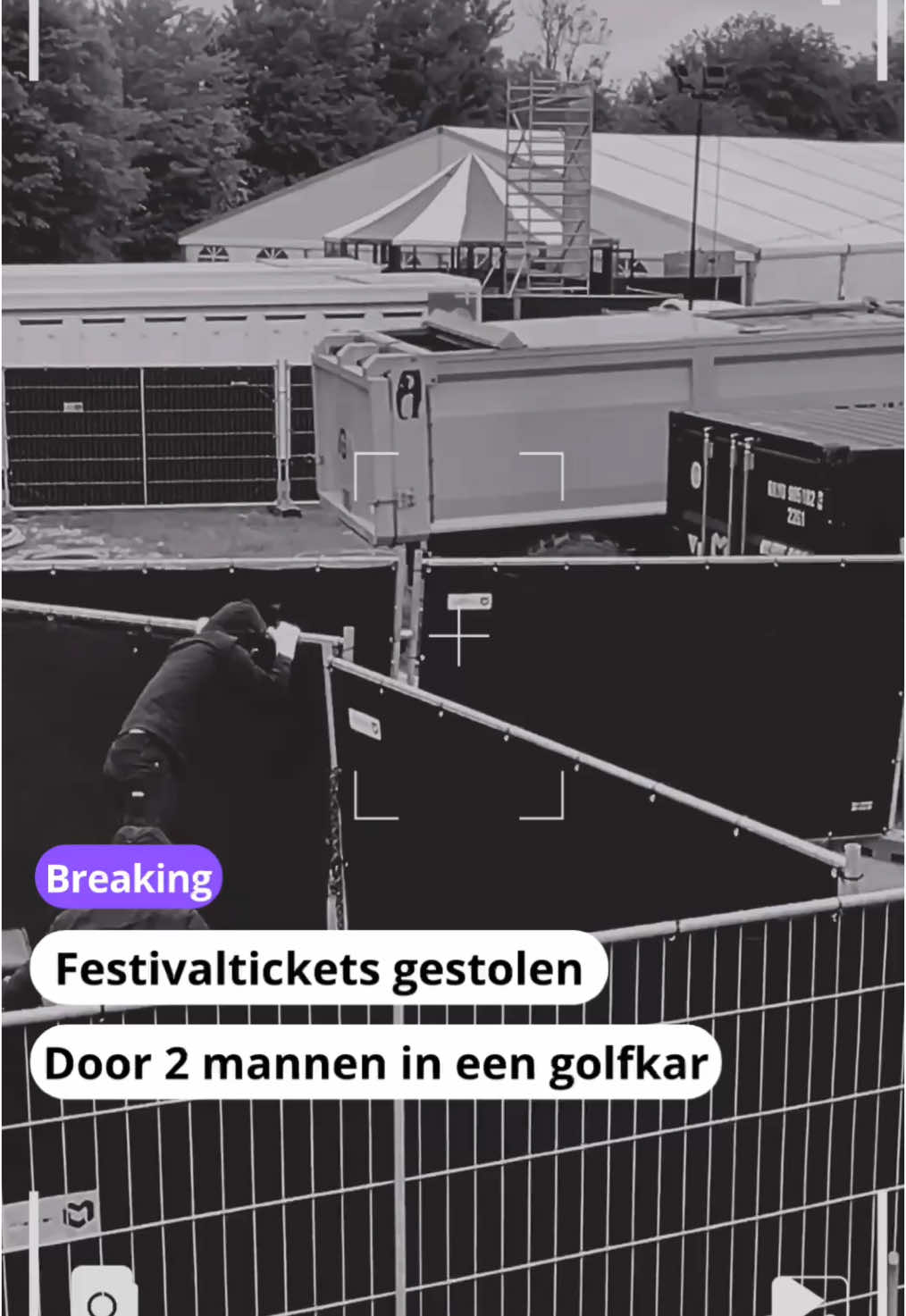 @Graspop Baflo