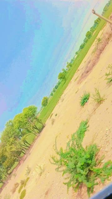 @(❤Ayan Malik(✿&hearts;‿&hearts;)