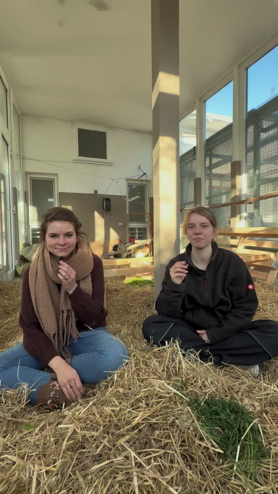 @TierschutzvereinM