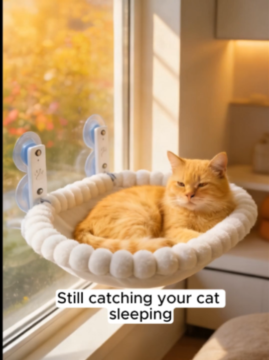 @Pawfectlypicked