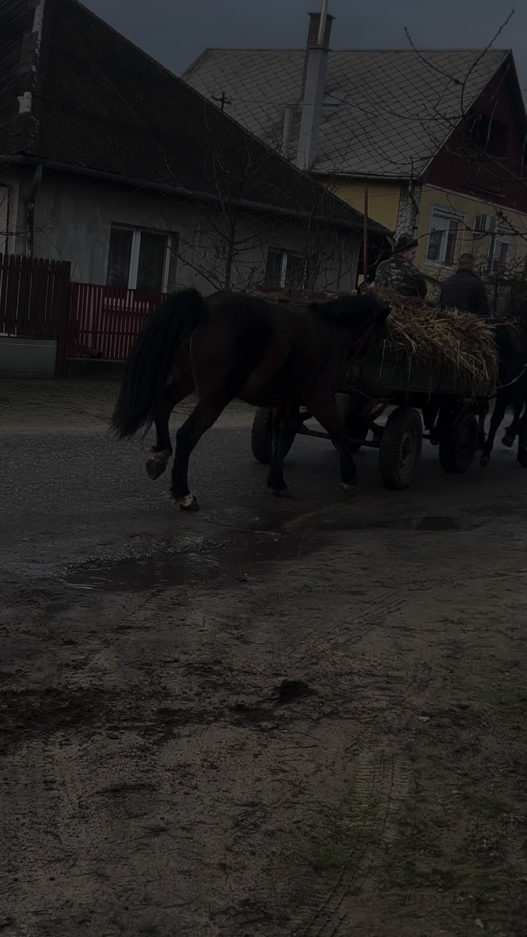 @Marcsika Kov&aacute;cs-Seres