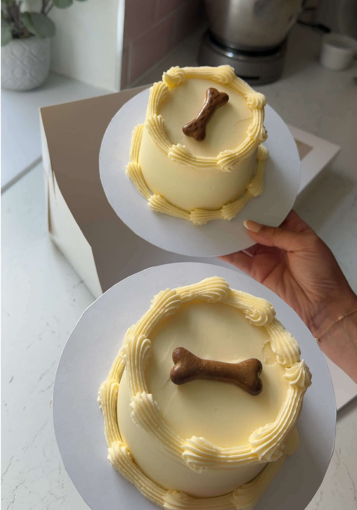 @Isabellita bakes