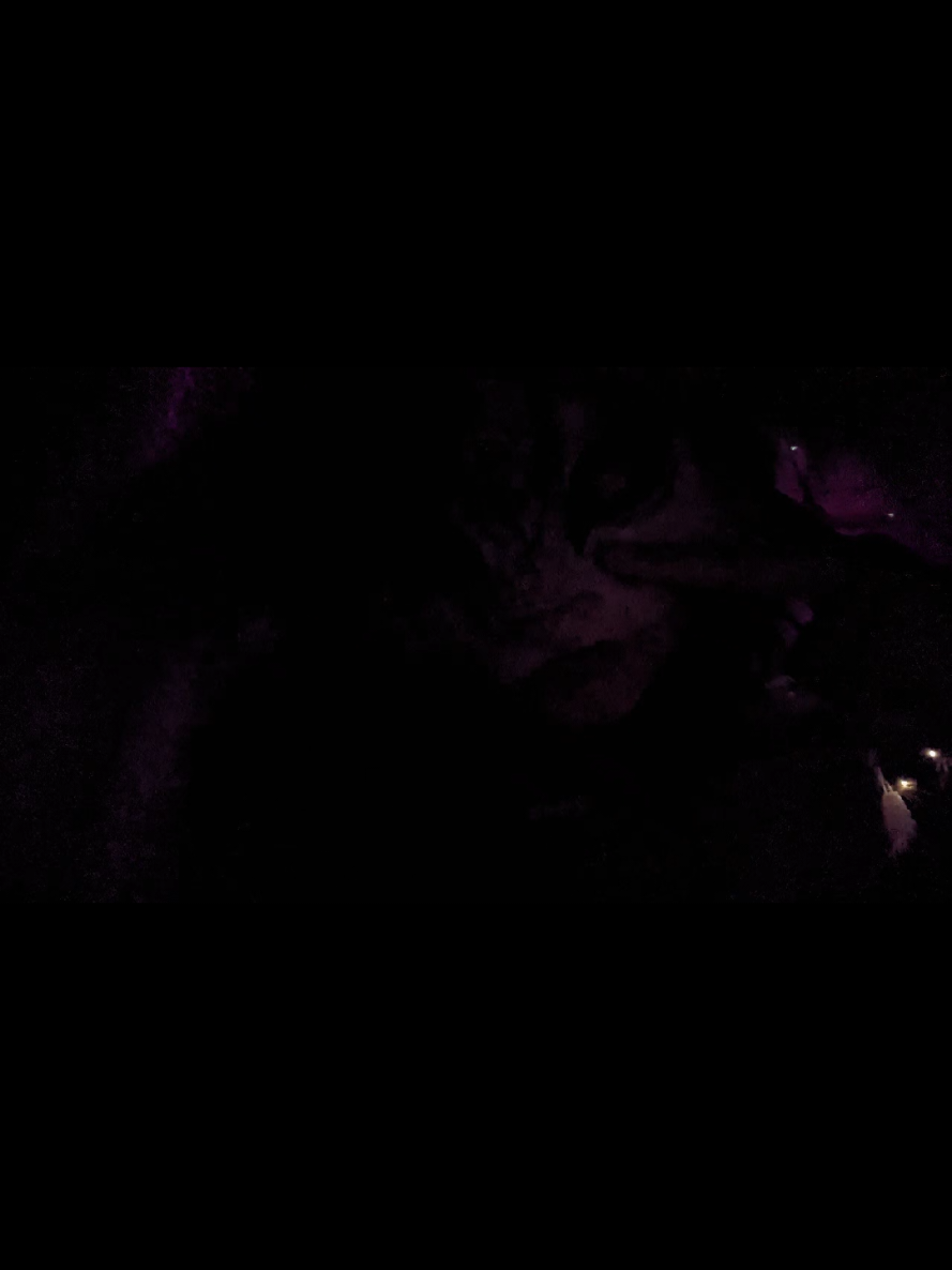 @☆🦇 𐌊𐌀𐌉𐌕𐌏 🦇 ☆