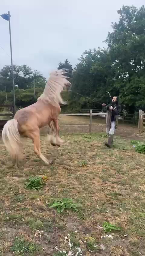 @eastendfarm_london