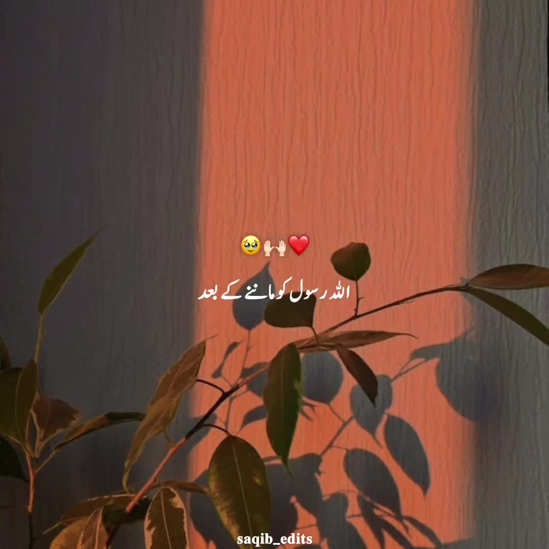 @𝐒𝐀𝐐𝐈𝐁 𝐄𝐃𝐈𝐓𝐒✨️