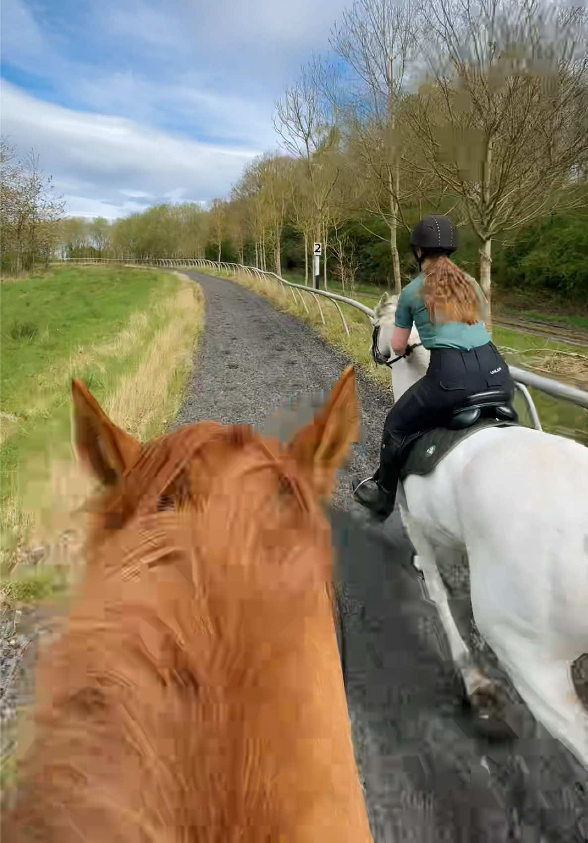 @Uhlan Equestrian