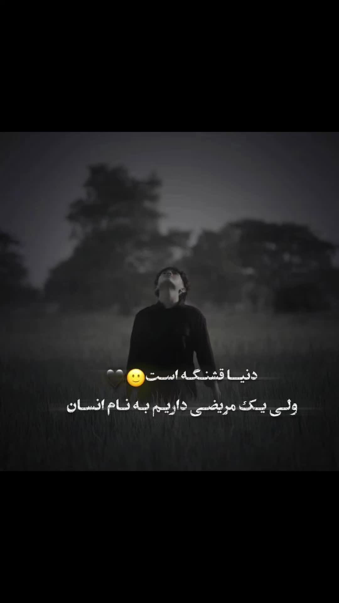 @Mohammad Soltani