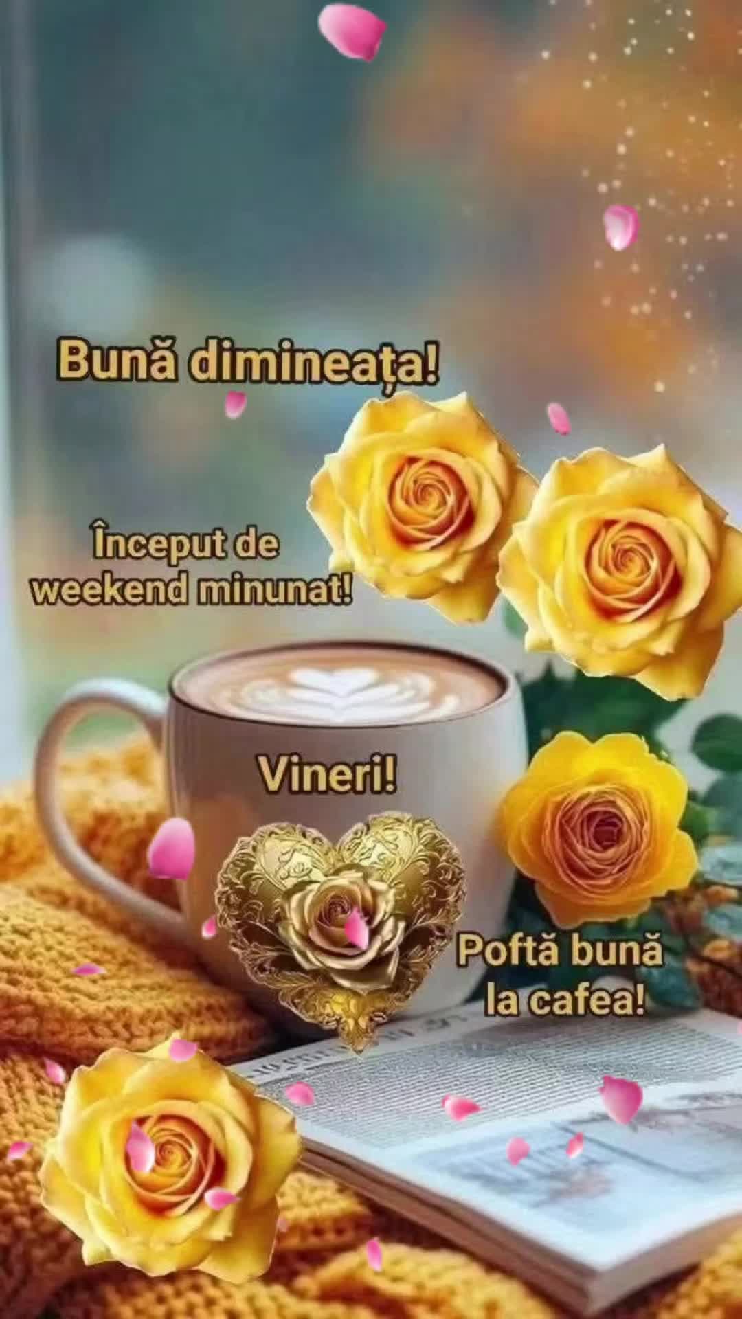 @Nicolae Iamandi Marin
