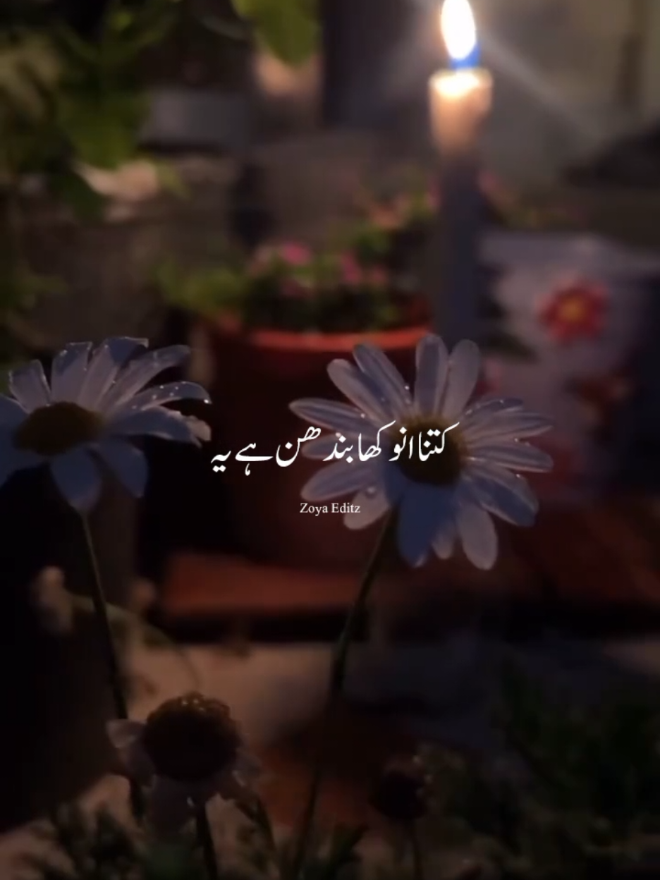 @𝐙𝐨𝐲𝐚 𝐄𝐝𝐢𝐭𝐳 💫