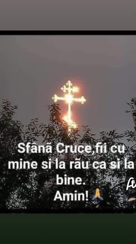 @Irina Vlad