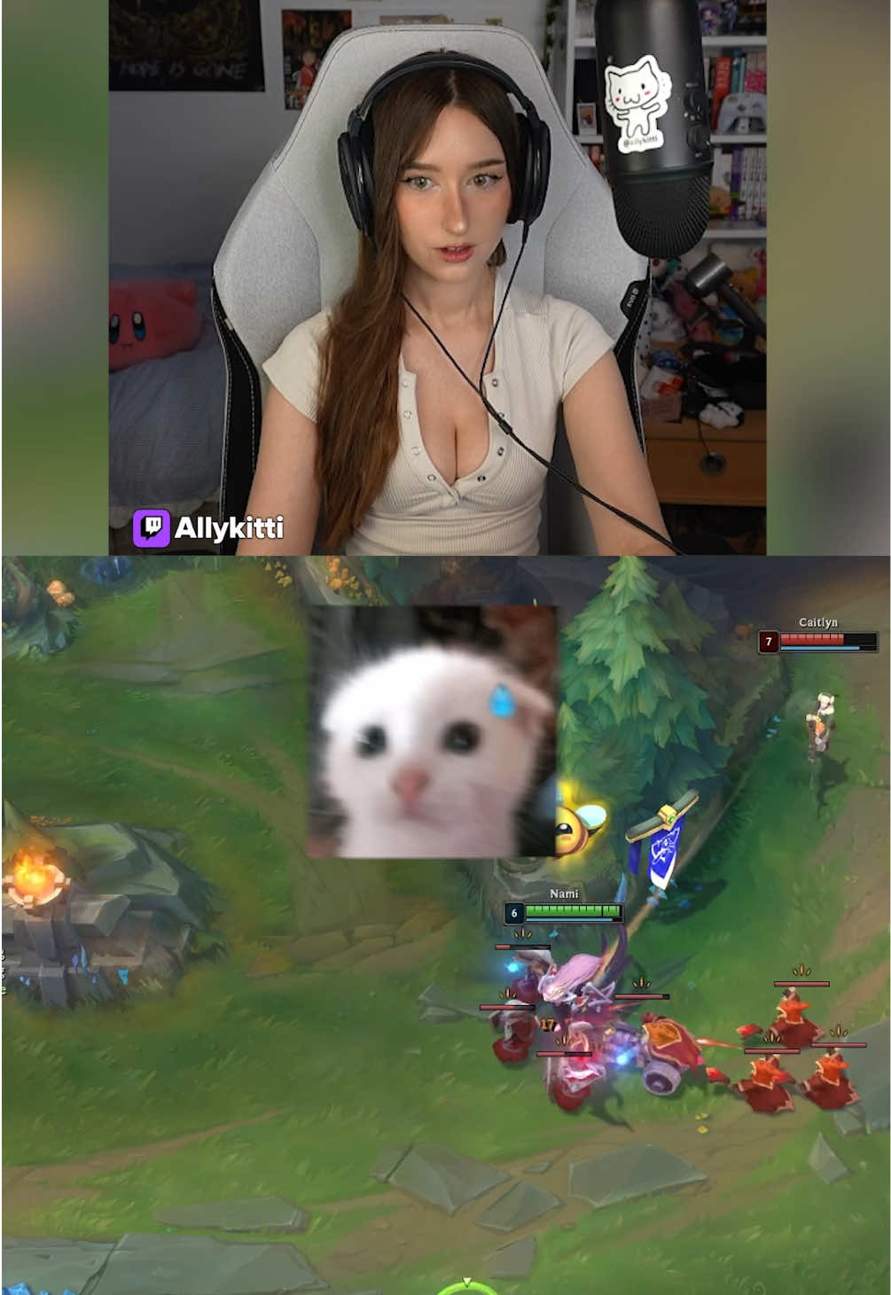 @twitch.tv/allykitti