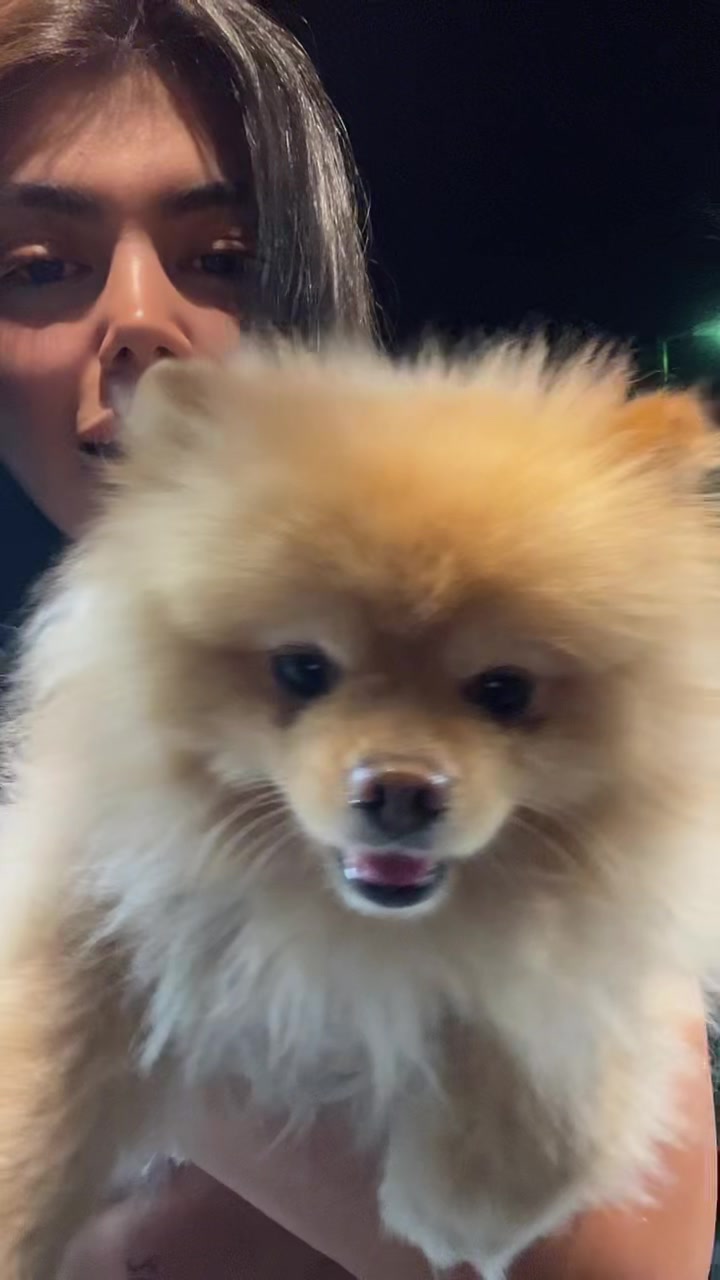 @Tina_tho