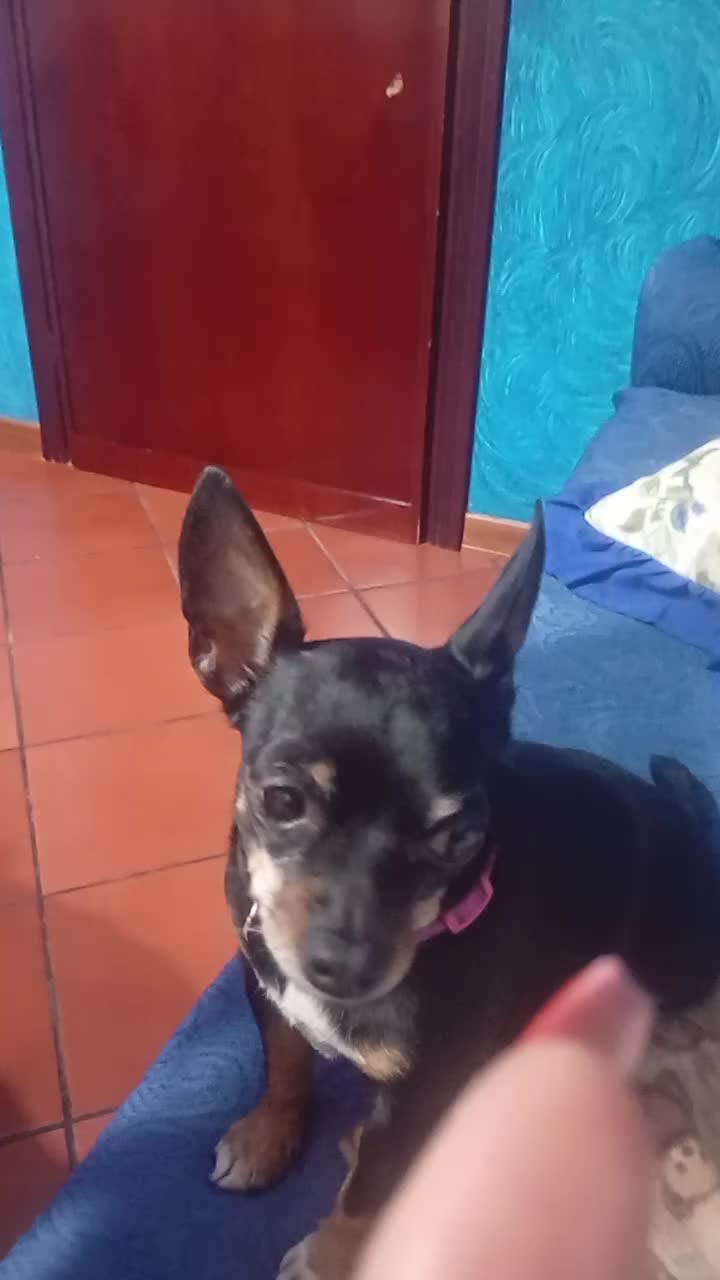 @Rosa Vaccaro❤️