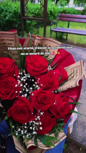 @🥀🖤Ella⚰️🪦