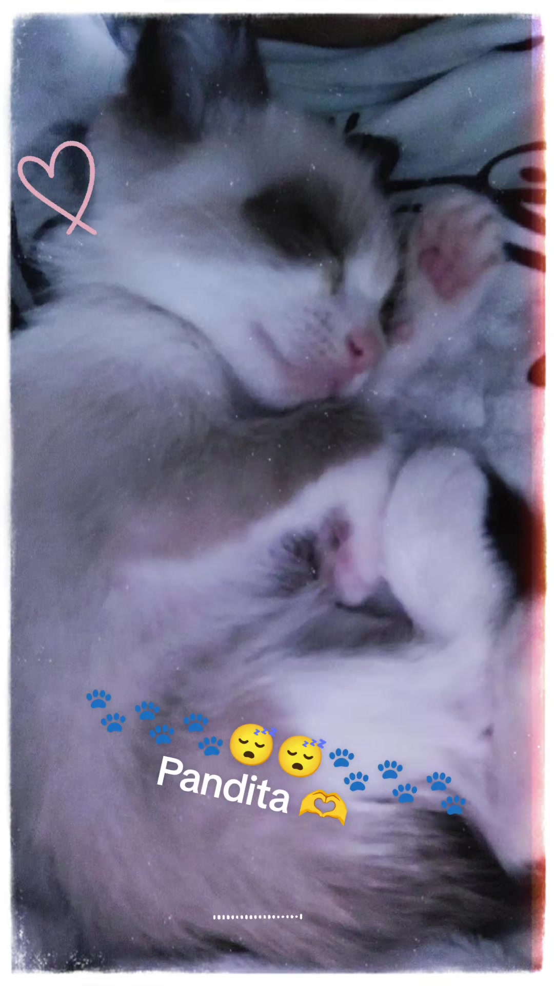 @❤️Luz de Luna 🌙🪷.♥️🌸