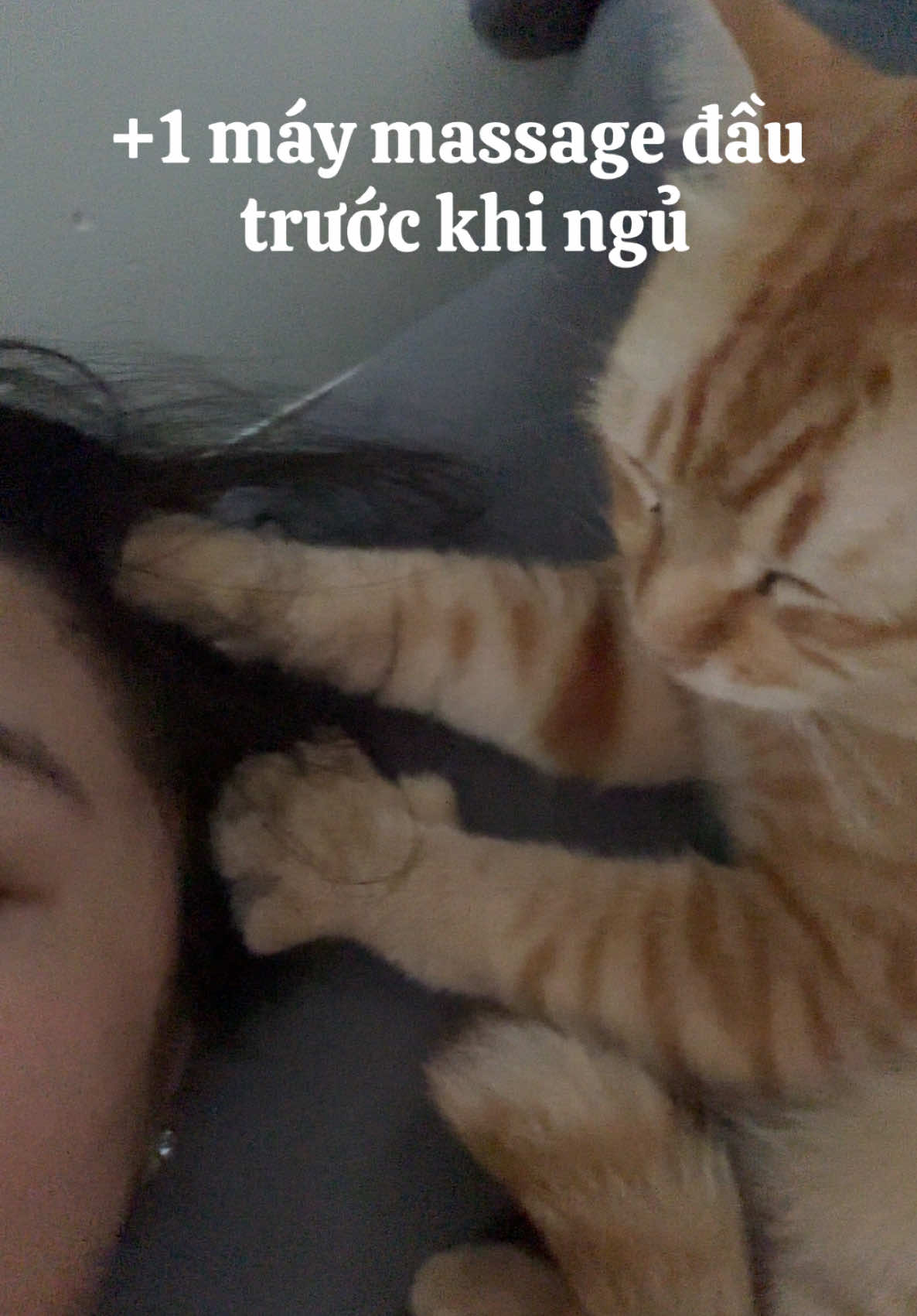 @Em pé Cam 🍊🧡