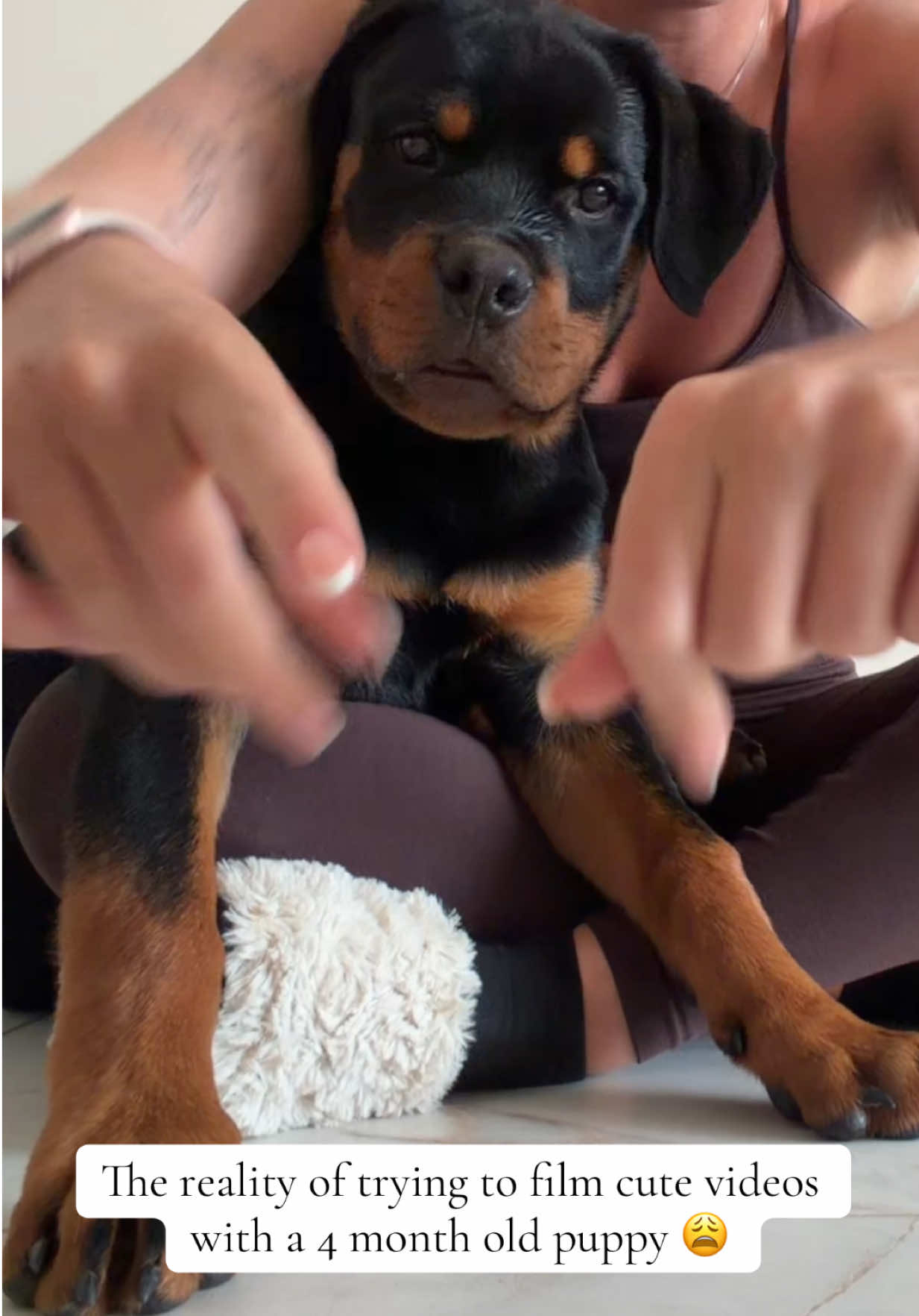 @Ronnie 🐾🤎
