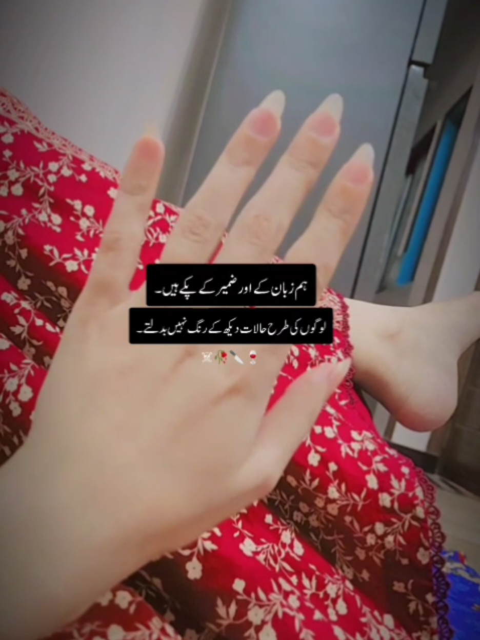 @Alina khan