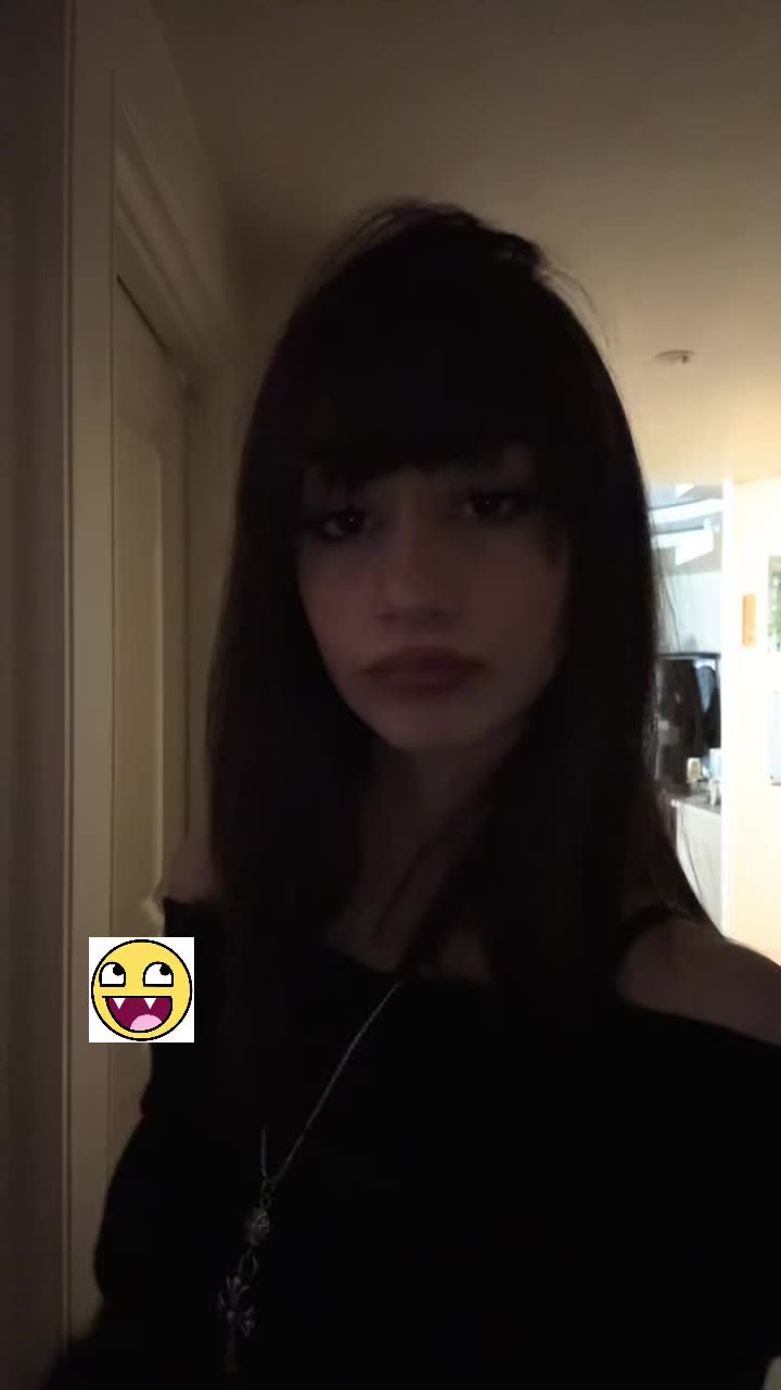 @little kitten