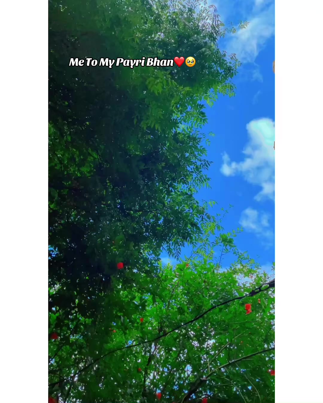 @✨ＫＨＯＫＨＲ❤️&zwj;🩹