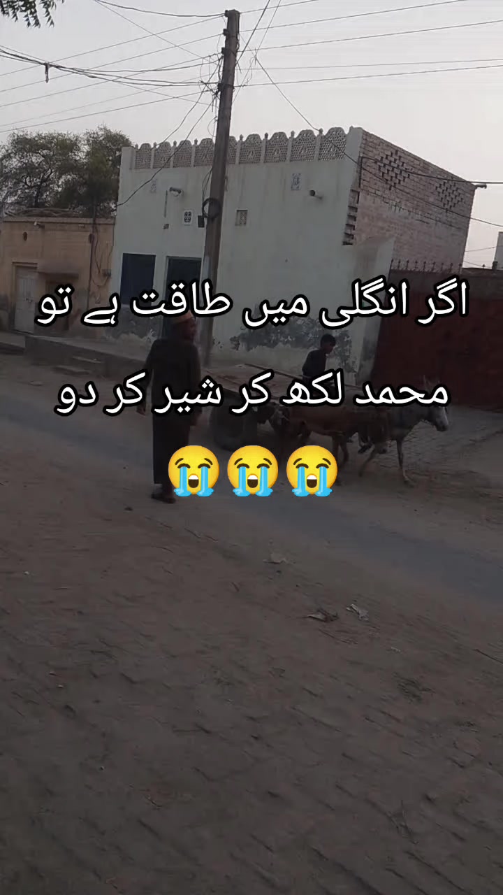 @<'پاگل' ہو >🦋