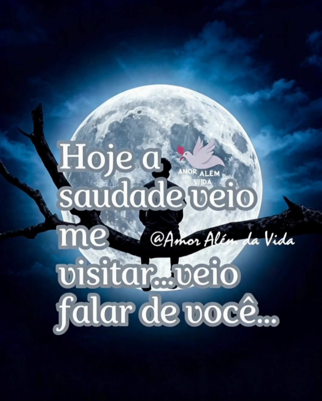 @Amanda Lacerda