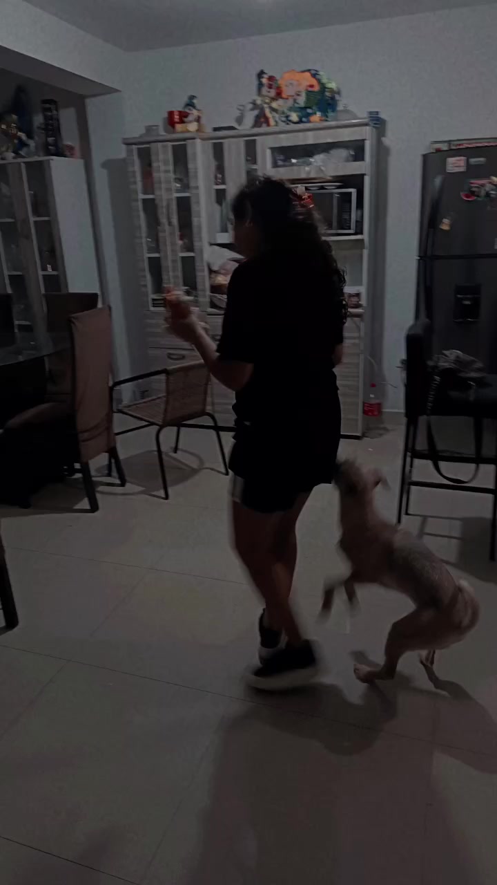 @maryi carreño