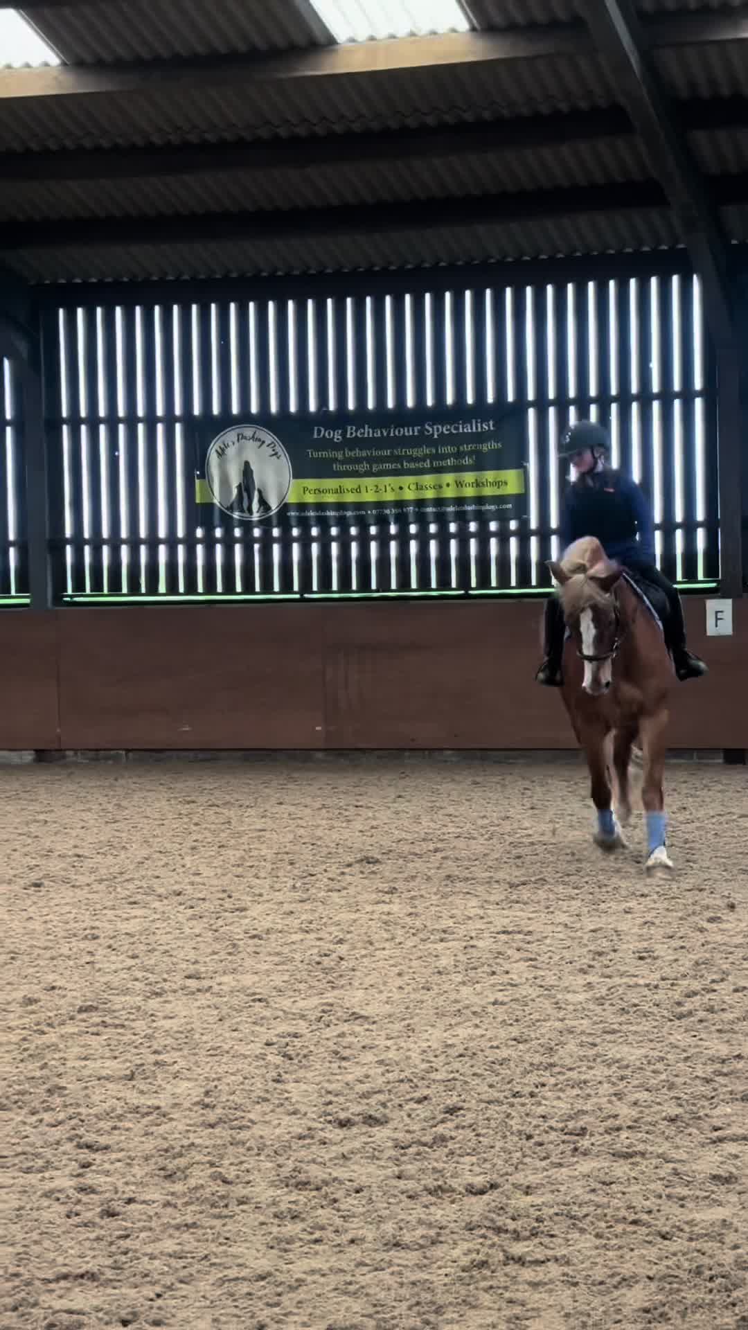 @Ellie 🐴🏎️