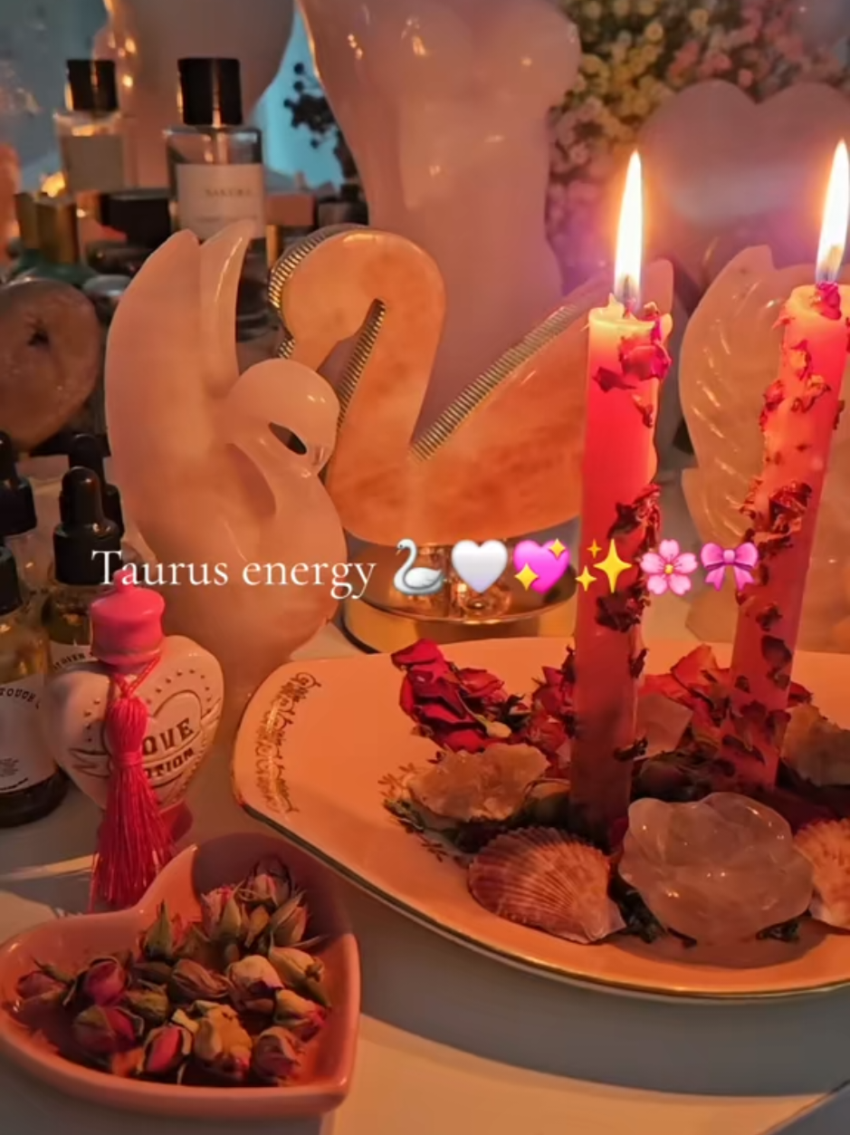 @Cinnamon Girl 🦢✨️🪞🫧