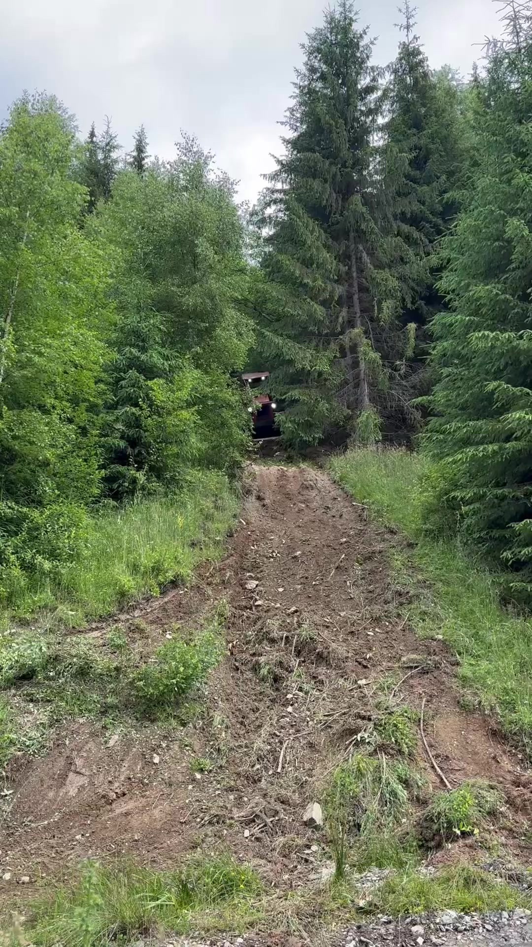 @Darius🌲