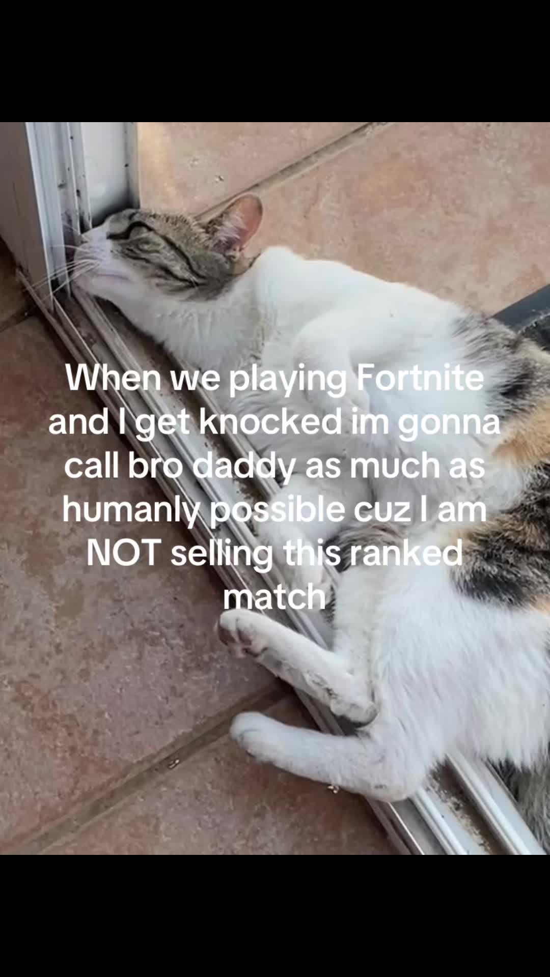 @daraszn