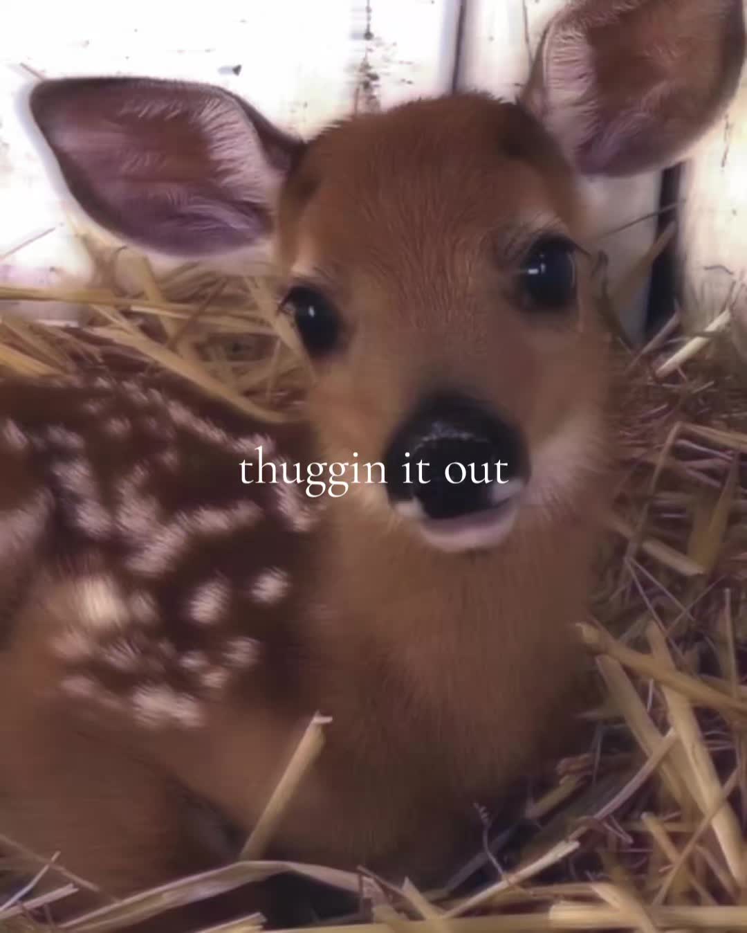 @Lilian