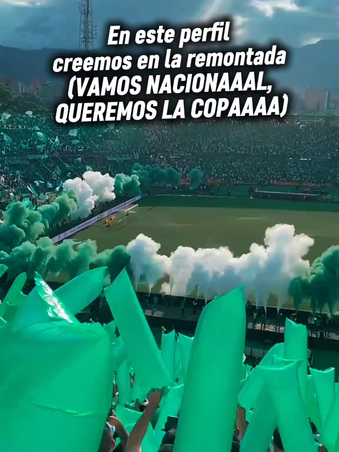@NOTICIAS DEL VERDE