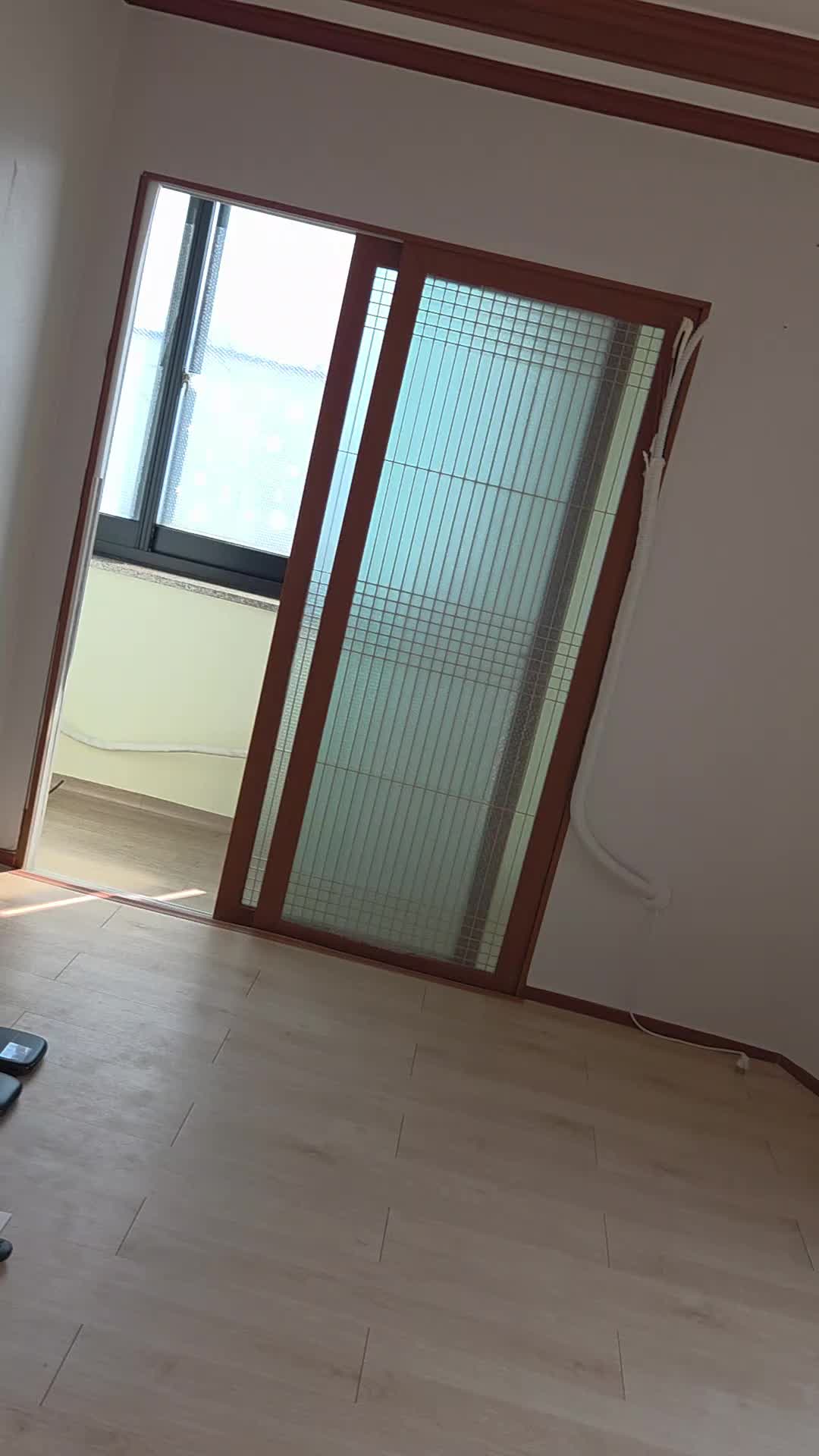 @카멜레온