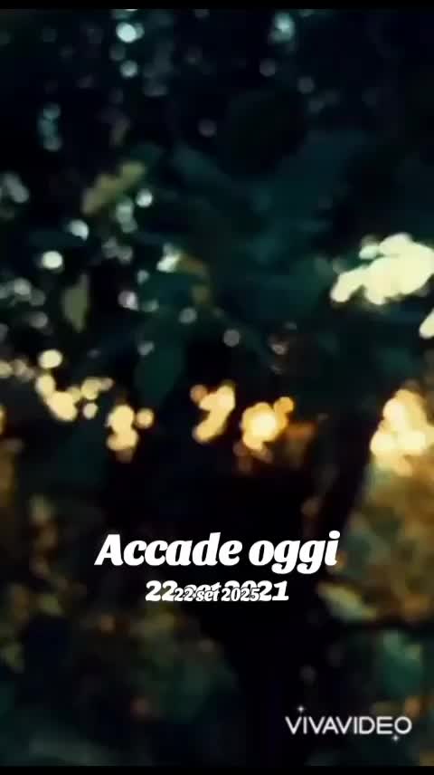 @Sally Davìd