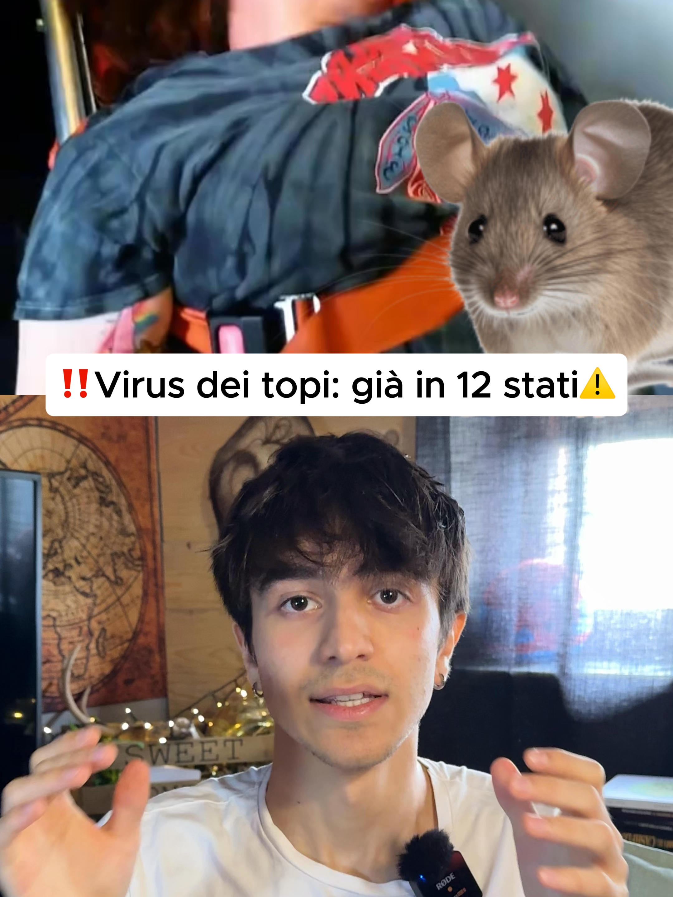 @iervo 🌟