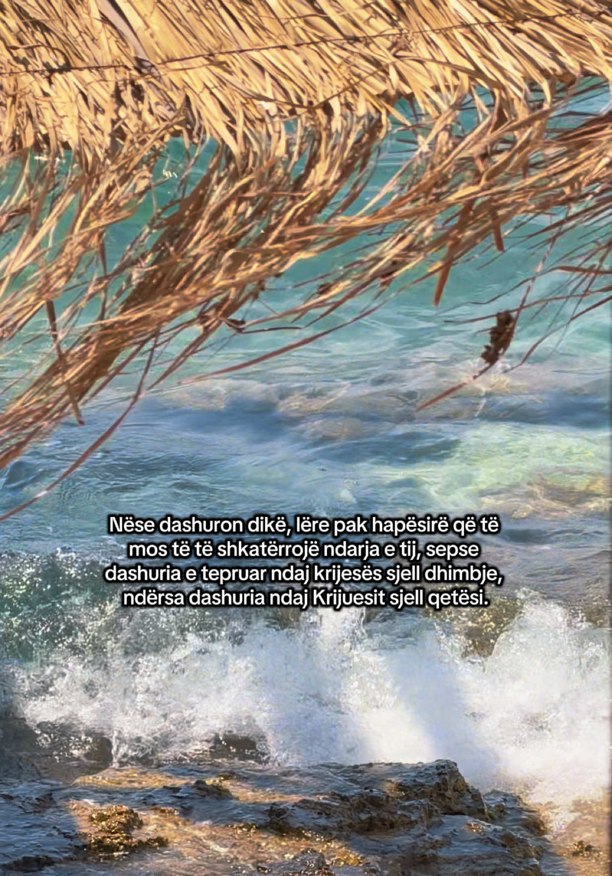 @𝐿𝓊𝓂𝑒𝓃 𝒷𝓎 𝐸𝓇𝒶𝓁𝒹𝒶