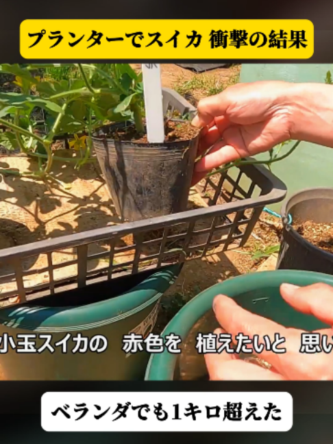 @ShinichiTokuda