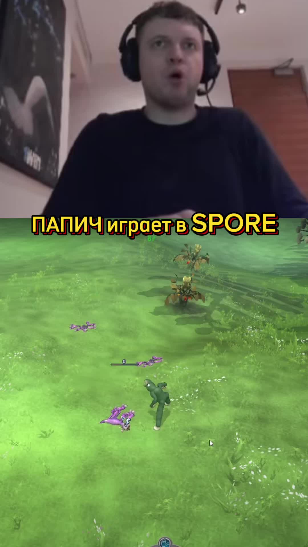 @напик