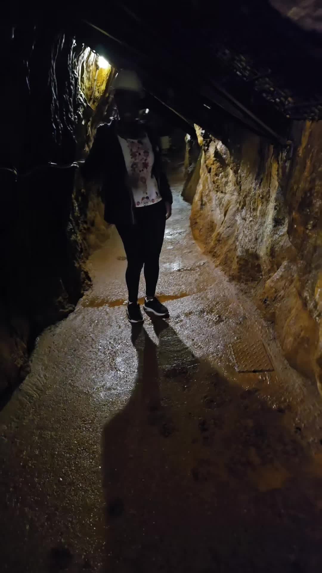 @Suziesd12