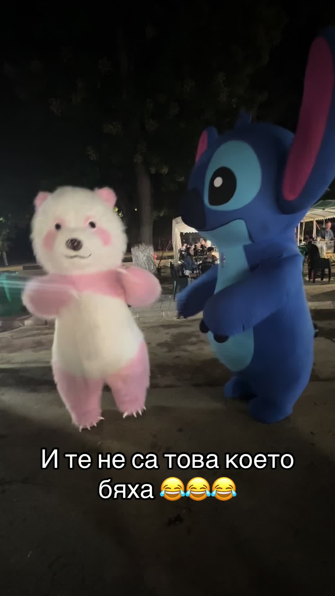 @Florina Ivanova