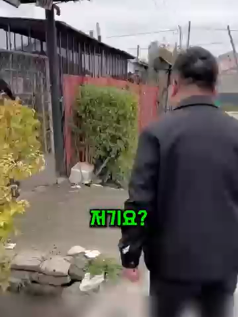 @user27276617531671