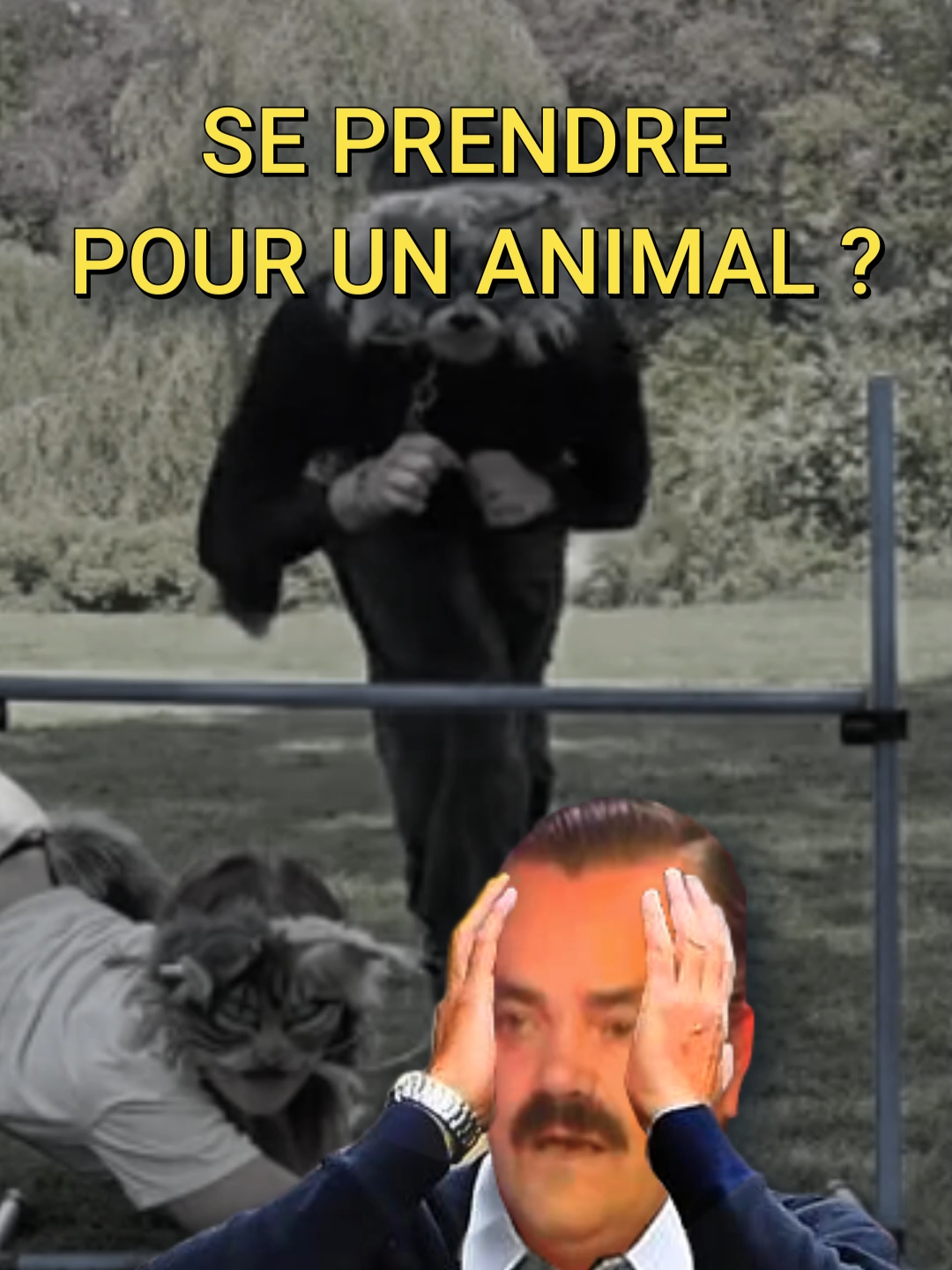 @LaPatience ⌛️