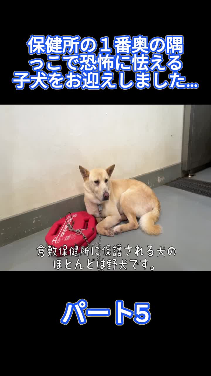 @ブルドッグぶるまるチャンネル Fan