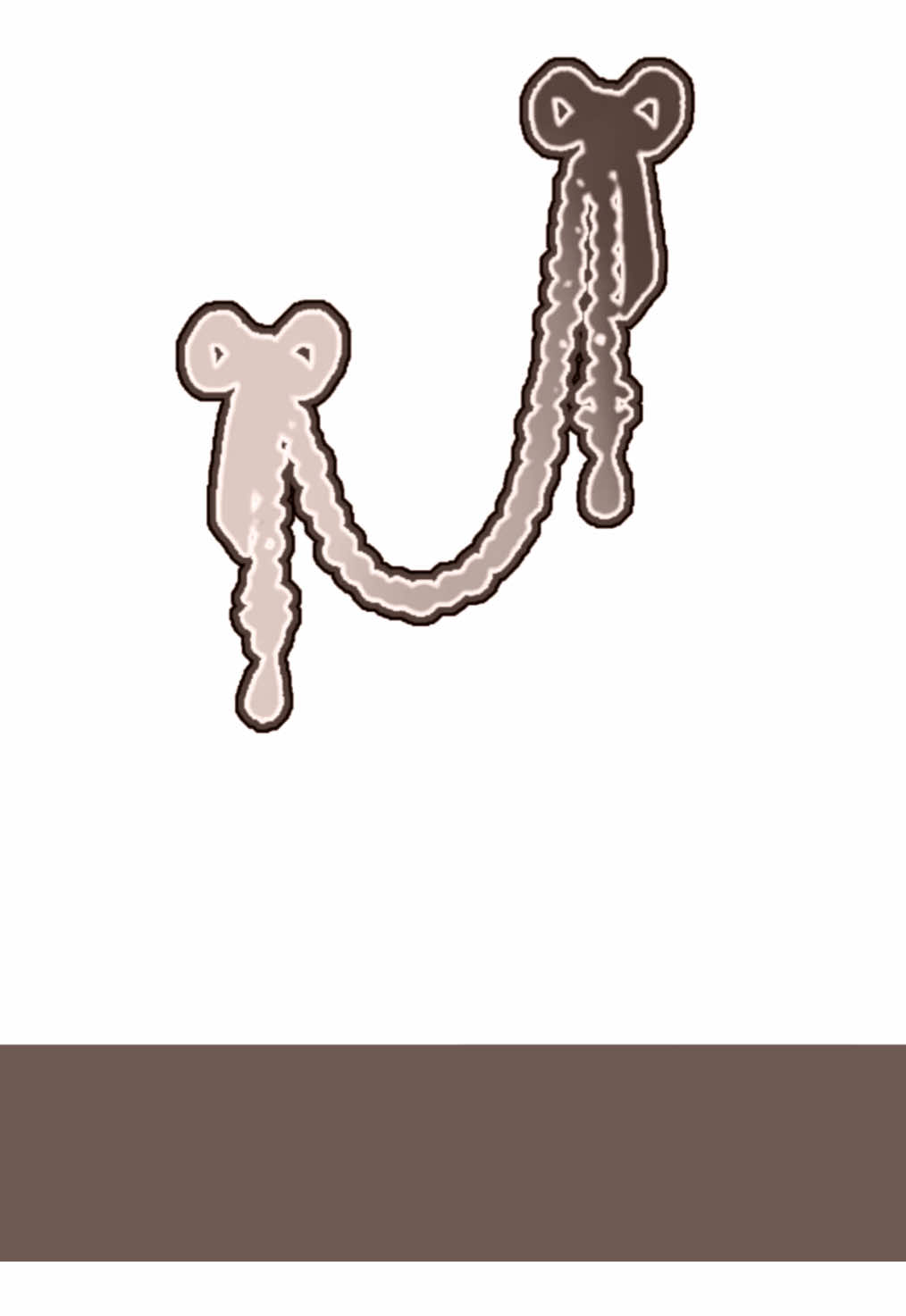 @݁ ˖Ი𐑼⋆ 𝖡𝖾𝗋𝗋𝗒